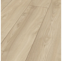 Handmuster Laminat 12.0 Makro Eiche hell
