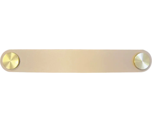 Möbelgriff mit goldfarbenen Beschlägen