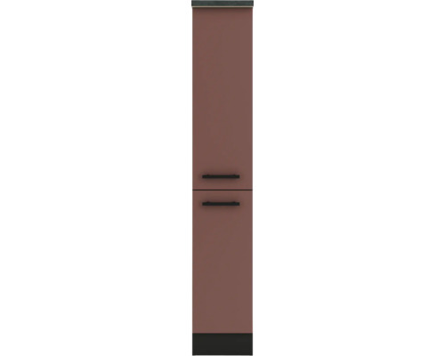 Schmaler Küchenschrank mit zwei Türen und Griffen