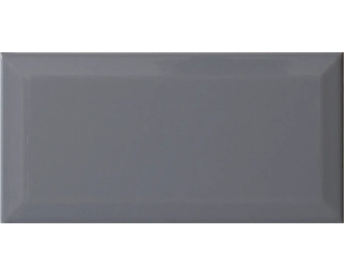 Metrofliese mit Facette plata glänzend 10x20 cm Graue Keramikfliese