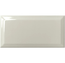 Rechteckige, glänzende Fliese