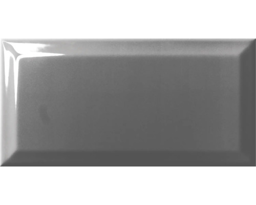 Graue glänzende Metrofliese