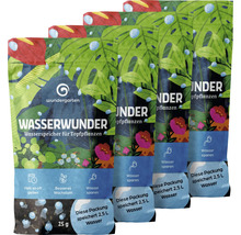 Vier Packungen Wasserwunder Wasserspeicher für Topfpflanzen