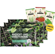 Anzucht- und Kräutererde mit Bio-Saatgut von Schnittlauch, Tomate und Salatgurke