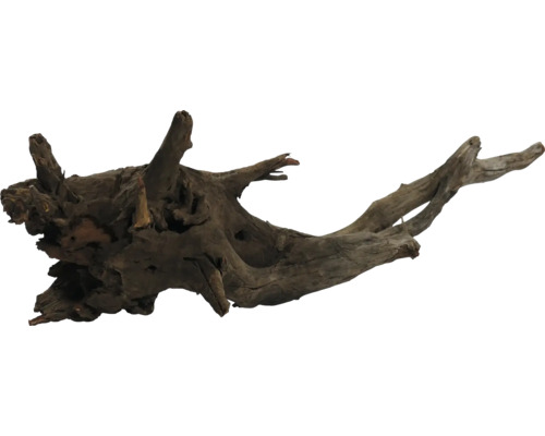 Dekorationsholzwurzel für Aquarien