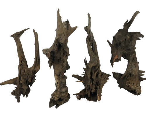 Fünf Wurzelholzstücke für die Aquariendekoration