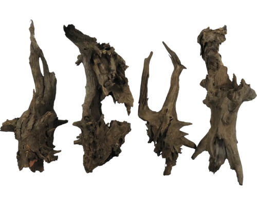 Vier Wurzelholzstücke zur Dekoration