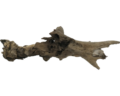 Treibholz zur Dekoration von Aquarien und Terrarien
