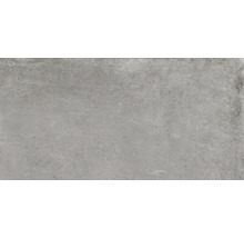 Feinsteinzeug Wand- und Bodenfliese Cortina grey 30 x 60 cm