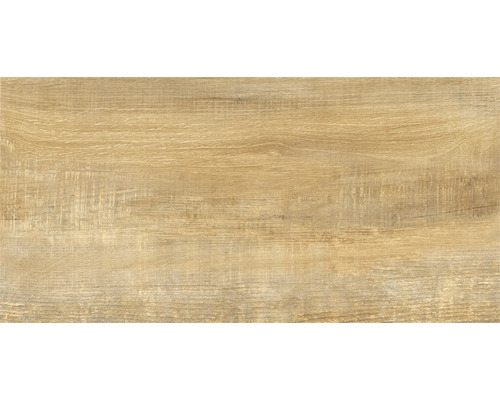 form & style Feinsteinzeug Wand- und Bodenfliese FORLI honey 31 x 62 x 0,74 cm