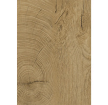 Holzstruktur mit Jahresringen