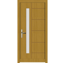 Holztür mit Glaseinsatz und Edelstahl-Türgriff