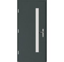 Moderne Haustür mit Glaseinsatz und Griff