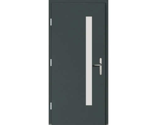 Moderne Haustür mit Glaseinsatz und Griff