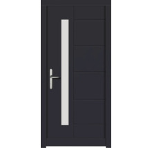 Haustür DW02 Kiefer RAL 7016 anthrazitgrau 1000x2100 mm DIN Links (nach innen öffnend)