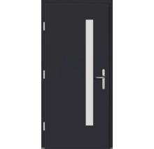 Haustür DW02 Kiefer RAL 7016 anthrazitgrau 1000x2100 mm DIN Links (nach innen öffnend)