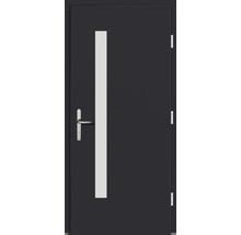 Haustür DW02 Kiefer RAL 7016 anthrazitgrau 1100x2100 mm DIN Rechts (nach innen öffnend)