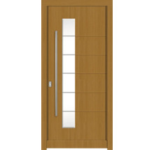 Holztür mit Glaselement und Edelstahlgriff