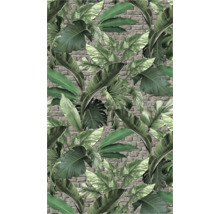 Tapete mit tropischen Blättern vor Ziegelmauer