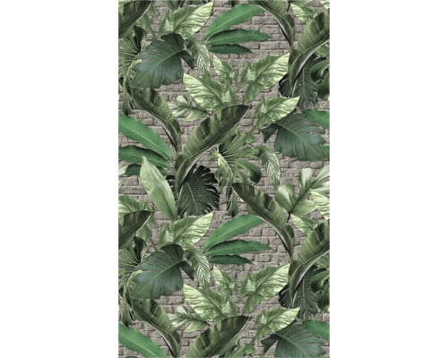 Tapete mit tropischen Blättern vor Ziegelmauer