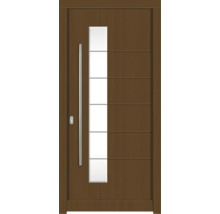 Haustür aus Holz mit Glaseinsatz und Metallgriff