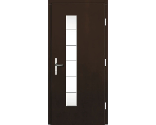 Braune Haustür mit Glaseinsatz und silberfarbener Türklinke