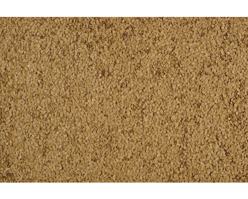 Nahaufnahme von Grassamen