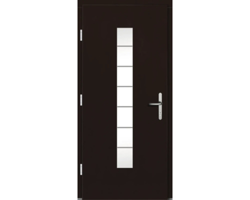Haustür mit Glaseinsatz und Edelstahlgriff