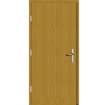 Holztür mit Drückergarnitur