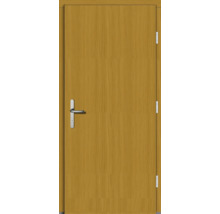 Holztür mit Türgriff und Scharnieren