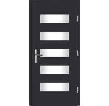Haustür DW57 Kiefer RAL 7016 anthrazitgrau 1000x2100 mm DIN Rechts (nach innen öffnend)