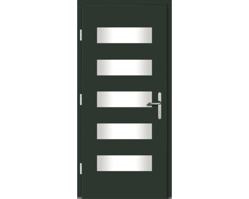 Moderne Haustür mit fünf rechteckigen Glaseinsätzen und Türgriff