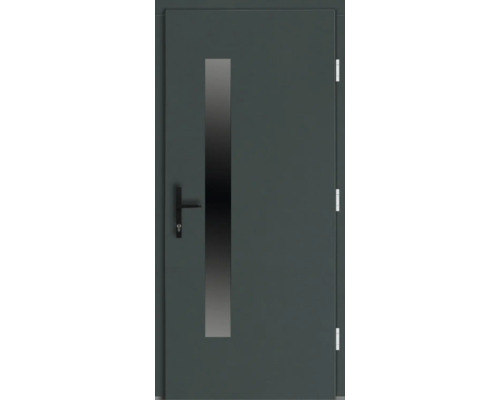 Metalltür mit schmalem Glaseinsatz und Griff