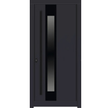 Haustür DW14a Kiefer RAL 7016 anthrazitgrau 1100x2100 mm DIN Links (nach innen öffnend)