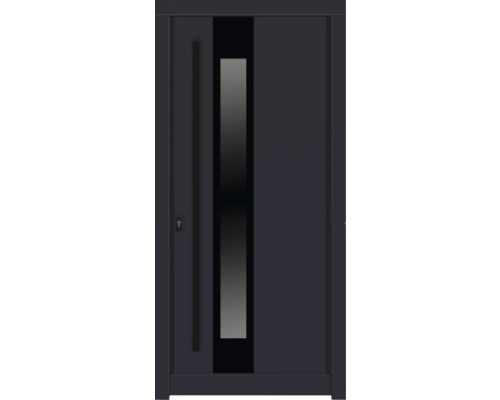 Haustür DW14a Kiefer RAL 7016 anthrazitgrau 1100x2100 mm DIN Links (nach innen öffnend) Haustür DW14a Kiefer RAL 7016 anthrazitgrau 1100x2100 mm DIN Links (nach innen öffnend)