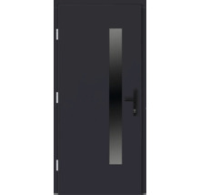 Haustür DW14a Kiefer RAL 7016 anthrazitgrau 1100x2100 mm DIN Links (nach innen öffnend)
