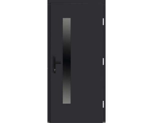 Tür mit Glaseinsatz und Türgriff