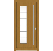 Haustür mit Glaseinsatz und Metallgriff