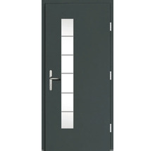 Haustür mit Glaseinsatz und Edelstahlgriff