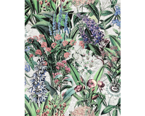 Vliestapete 47477 Flora Blumen grau grün Tapete mit floralem Muster und botanischen Illustrationen