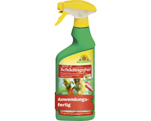 Schädlingsfrei Pumpsprüher Neudorff Spruzit 500 ml Sprühflasche mit Schädlingsbekämpfungsmittel für Zierpflanzen, Obst und Gemüse.