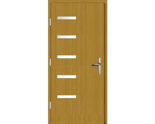 Holztür mit fünf Lichtausschnitten und Türgriff