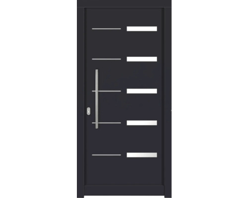 Haustür DW20 Kiefer RAL 7016 anthrazitgrau 1000x2100 mm DIN Links (nach innen öffnend)
