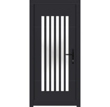 Haustür mit fünf Lichtausschnitten und Griff