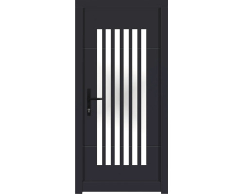 Haustür DW25 Kiefer RAL 7016 anthrazitgrau 1000x2100 mm DIN Links (nach innen öffnend) Haustür DW25 Kiefer RAL 7016 anthrazitgrau 1000x2100 mm DIN Links (nach innen öffnend)