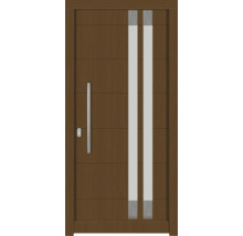 Haustür mit Glasausschnitt und Griff