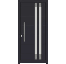 Haustür DW27 Kiefer/Eiche RAL 7016 anthrazitgrau 1100x2100 mm DIN Links (nach innen öffnend)