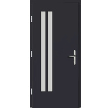 Haustür DW27 Kiefer/Eiche RAL 7016 anthrazitgrau 1100x2100 mm DIN Links (nach innen öffnend)