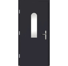 Haustür DW29 Kiefer RAL 7016 anthrazitgrau 1000x2100 mm DIN Links (nach innen öffnend)