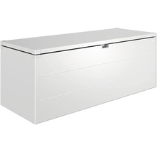 Aufbewahrungsbox StyleBox Gr. 210 Biohort 987 l 207 x 80 x 81 cm silber-metallic